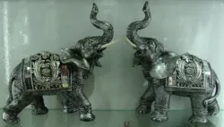 FIGURA SLON B56789