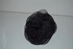 ŠNALE 100